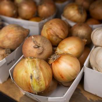 Oignons et ail faits maison dans la boutique de la ferme Neufeldhof – produits de haute qualité issus de l'agriculture du Liechtenstein.