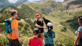 Un rapace s'envole dans les airs pendant que les enfants regardent le fauconnier faire une démonstration de vol. Un rapace s'envole dans les airs pendant que les enfants regardent le fauconnier faire une démonstration de vol.