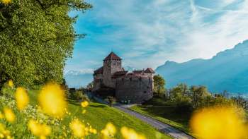 Château de Vaduz avec des fleurs jaunes au premier plan par une journée de printemps ensoleillée