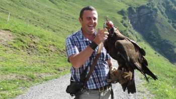 Un fauconnier et son rapace dans les montagnes du Liechtenstein