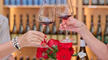 Dégustation à la cave du Prince du Liechtenstein