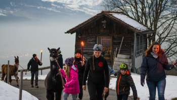 Enfants et adultes lors d'une randonnée hivernale avec des lamas sur un chemin enneigé au Liechtenstein avec vue sur la vallée du Rhin