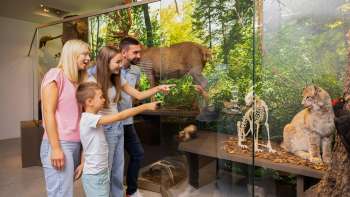 Une famille visite l'exposition consacrée aux sciences naturelles au Musée national du Liechtenstein