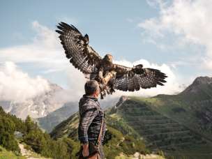 Le fauconnier Norman Vögeli présente un imposant aigle royal dans un décor de montagne alpine - un spectacle naturel impressionnant en altitude.
