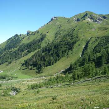Vertes prairies alpines et pentes boisées autour de l'Alp Lawena au Liechtenstein par une claire journée d'été, avec vue sur les montagnes environnantes.