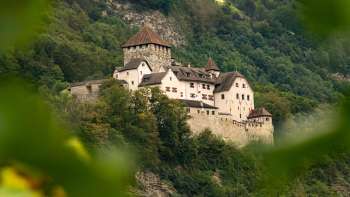 Vue sur le château de Vaduz à travers le feuillage vert, niché dans le paysage vallonné et boisé du Liechtenstein.