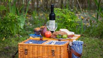 Panier pique-nique avec bouteille de vin dans la forêt