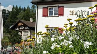 Fleurs au premier plan devant l'auberge de montagne traditionnelle Masescha aux volets rouges dans un paysage alpin verdoyant