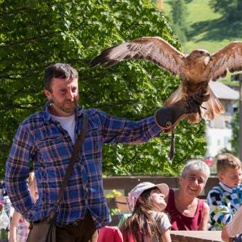 Un fauconnier présente un oiseau de proie, les enfants et les adultes regardent avec enthousiasme.