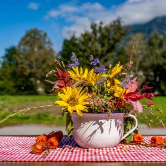 Un bouquet de fleurs sauvages automnales dans une tasse en émail est posé sur une nappe à carreaux rouges et blancs, avec des montagnes en arrière-plan au Liechtenstein.