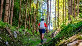 Randonnée dans la forêt ombragée du Liechtenstein - découverte de la nature sur des sentiers alpins Randonneurs sur un sentier étroit à travers une forêt de conifères clairsemée au Liechtenstein, entourés de végétation verte et de lumière solaire