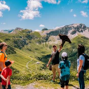Une famille observe un fauconnier avec un oiseau de proie
