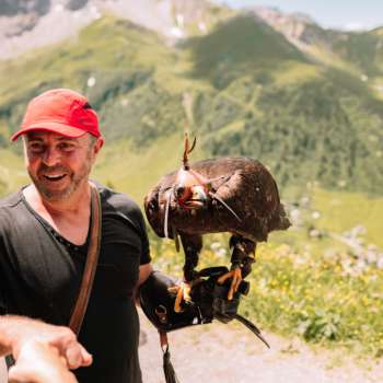 Fauconnier à casquette rouge présentant un aigle majestueux dans un paysage alpin.