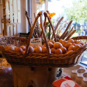 Grand panier en osier avec des œufs frais de poules élevées en plein air dans la boutique de la ferme Bangshof – qualité régionale directement de la ferme.