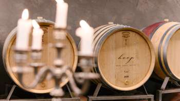 Photo d'ambiance dans la cave à vin du domaine Hoop avec des barriques étiquetées et éclairées à la bougie.