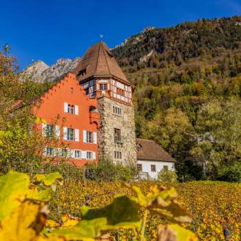 La Maison Rouge à Vaduz, entourée de vignes aux couleurs automnales sur la colline