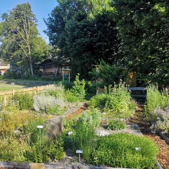 lick sur le jardin d'herbes aromatiques de Mauren , avec des plates-bandes de plantes étiquetées, des herbes en fleurs et des chemins bien entretenus dans un environnement estival.