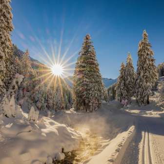 Paysage hivernal enneigé à Steg au Liechtenstein avec du soleil, des pistes de ski de fond et des arbres couverts de neige.