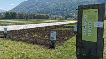 Vue sur un panneau d'information et des montagnes en arrière-plan sur le Weltacker Mauren