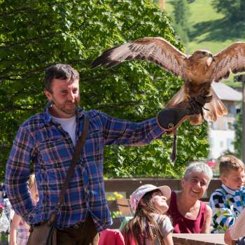 Un fauconnier présente un oiseau de proie, les enfants et les adultes regardent avec enthousiasme.