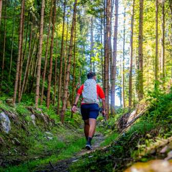 Randonneurs sur un sentier étroit à travers une forêt de conifères clairsemée au Liechtenstein, entourés de végétation verte et de lumière solaire