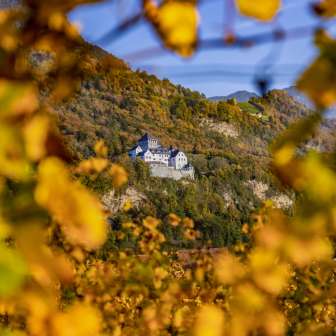 Vue du château de Vaduz au Liechtenstein en automne, encadré de feuilles dorées et d'un décor naturel automnal.