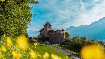Château de Vaduz avec des fleurs jaunes au premier plan par une journée de printemps ensoleillée Château de Vaduz avec des fleurs jaunes au premier plan par une journée de printemps ensoleillée