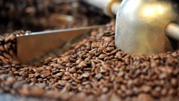  Gros plan sur des grains de café fraîchement torréfiés dans une machine à torréfier, avec une pelle en métal et un tambour de torréfaction en arrière-plan, qui mélangent le café.