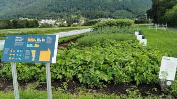 Vue sur le Weltacker Mauren avec un panneau d'information bleu au premier plan