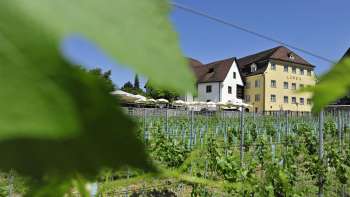 Vue extérieure de l'auberge, entourée de vignes et de feuilles au premier plan.