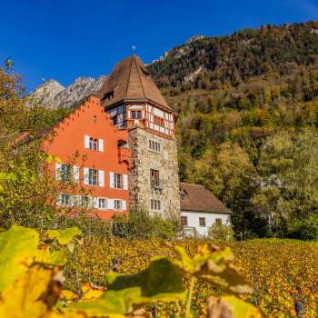 La Maison Rouge à Vaduz entourée de vignes automnales sur le versant.