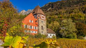 La Maison Rouge à Vaduz entourée de vignes automnales sur le versant.