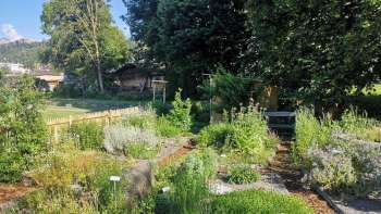 lick sur le jardin d'herbes aromatiques de Mauren , avec des plates-bandes de plantes étiquetées, des herbes en fleurs et des chemins bien entretenus dans un environnement estival.