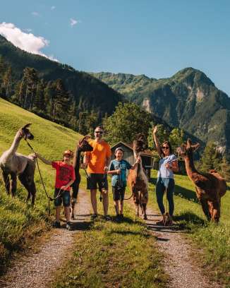Shooting de famille avec des lamas et des alpagas en été à Malbun