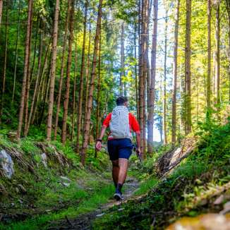 Randonneurs sur un sentier étroit à travers une forêt de conifères clairsemée au Liechtenstein, entourés de végétation verte et de lumière solaire