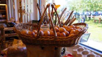 Grand panier en osier avec des œufs frais de poules élevées en plein air dans la boutique de la ferme Bangshof – qualité régionale directement de la ferme.