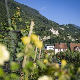 Château de Vaduz – Été