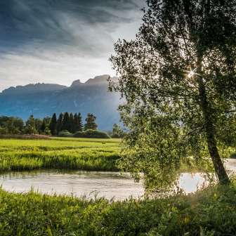 Lumière du soir évocatrice sur la réserve naturelle du Ruggeller Riet avec cours d'eau, arbres et vue sur les montagnes en arrière-plan.