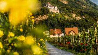 Vue sur le château de Vaduz depuis le sentier viticole à travers les vignobles avec des fleurs, des vignes et des maisons au Liechtenstein