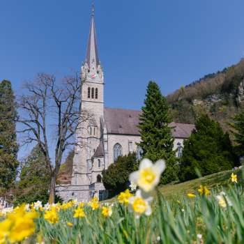 Prairie fleurie devant la cathédrale Saint-Florin à Vaduz - ambiance printanière impressionnante au Liechtenstein.