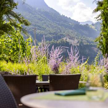 Vue sur le château de Vaduz