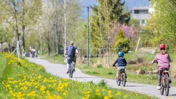 La famille fait du vélo sur la piste cyclable printanière du parc naturel Haberfeld, entourée de prairies et d'arbres en fleurs.