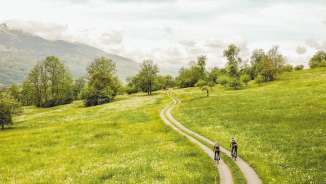 Deux gravel-bikers sur un chemin sinueux à travers un paysage de prairies en fleurs avec un panorama sur les Alpes au Liechtenstein - Faire du vélo dans une nature intacte