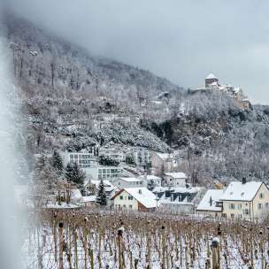 Vignobles et maisons enneigés à Vaduz avec vue sur le château de Vaduz par une journée hivernale