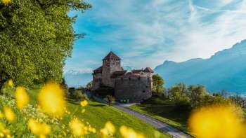 Château de Vaduz avec des fleurs jaunes au premier plan par une journée de printemps ensoleillée Château de Vaduz avec des fleurs jaunes au premier plan par une journée de printemps ensoleillée