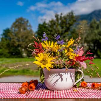 Un bouquet de fleurs sauvages automnales dans une tasse en émail est posé sur une nappe à carreaux rouges et blancs, avec des montagnes en arrière-plan au Liechtenstein.