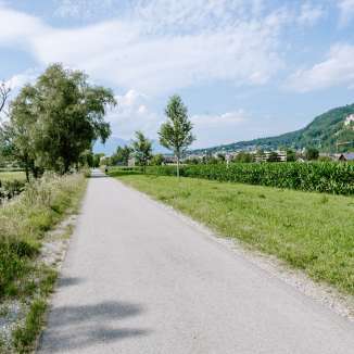 Chemin goudronné entre champs et arbres avec vue sur les montagnes - Auweg au Liechtenstein par temps estival