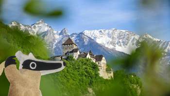 Détective-Trail: à la chasse au trésor à Vaduz avec vue sur le château de Vaduz et les montagnes blanches