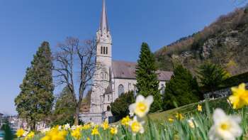 Prairie fleurie devant la cathédrale Saint-Florin à Vaduz - ambiance printanière impressionnante au Liechtenstein.