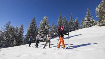 Groupe de randonneurs en raquettes lors d'un cours d'initiation dans un paysage hivernal enneigé sous un ciel bleu à Malbun